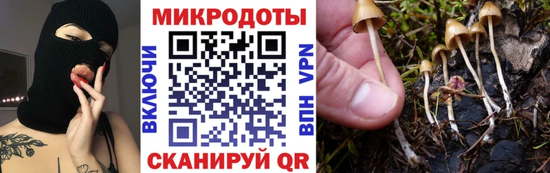 Галлюциногенные грибы GOLDEN TEACHER  ссылка на мегу зеркало  Черногорск 