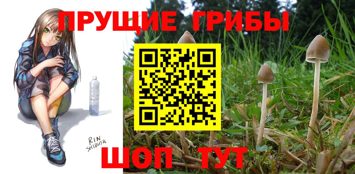 Псилоцибиновые грибы ЛСД  Вход с VPN  Галлюциногенные грибы Magic Shrooms  Черногорск 