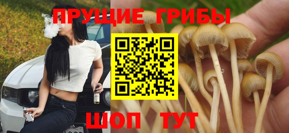 Псилоцибиновые грибы мицелий Черногорск