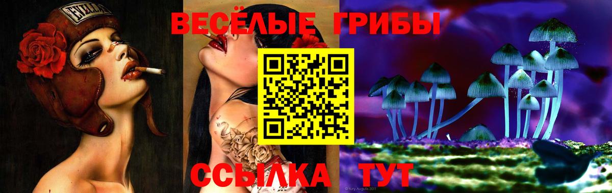 Галлюциногенные грибы мухоморы Черногорск